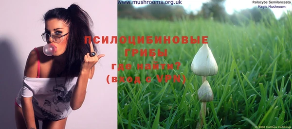 эйфоретик Мегион