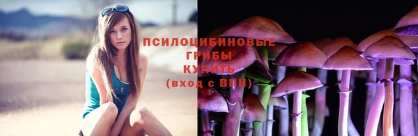 таблы Медногорск